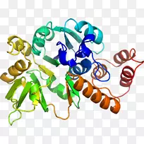 人体首饰有机体线剪贴画线-空若网 人体首饰有机体线剪贴画线-空若网