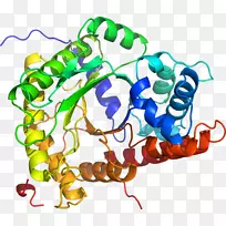 人体首饰有机体线剪贴画线-空若网 人体首饰有机体线剪贴画线-空若网