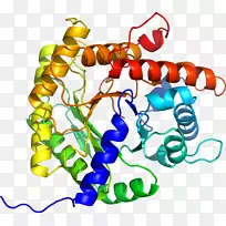 艺术身体珠宝有机体剪贴艺术珠宝首饰-空若网 艺术身体珠宝有机体剪贴艺术珠宝首饰-空若网