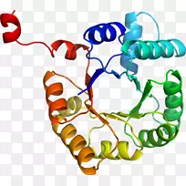 人体首饰有机体线剪贴画线-空若网 人体首饰有机体线剪贴画线-空若网