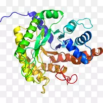 艺术身体珠宝有机体线剪贴画线-空若网 艺术身体珠宝有机体线剪贴画线-空若网