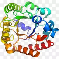 人体首饰有机体线剪贴画线-空若网 人体首饰有机体线剪贴画线-空若网