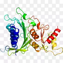 蔬菜有机体系列剪贴画-蔬菜-空若网 蔬菜有机体系列剪贴画-蔬菜-空若网