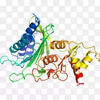 人体首饰有机体线剪贴画线-空若网 人体首饰有机体线剪贴画线-空若网