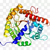人体首饰有机体线剪贴画线-空若网 人体首饰有机体线剪贴画线-空若网