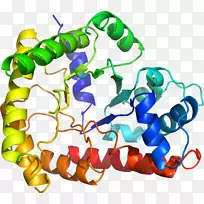人体首饰有机体线剪贴画线-空若网 人体首饰有机体线剪贴画线-空若网