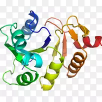 人体珠宝剪贴画.设计-空若网 人体珠宝剪贴画.设计-空若网