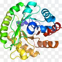 人体珠宝线有机体剪贴画线-空若网 人体珠宝线有机体剪贴画线-空若网