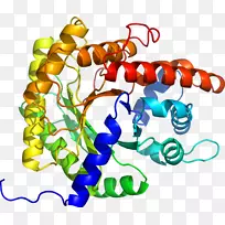 人体首饰有机体线剪贴画线-空若网 人体首饰有机体线剪贴画线-空若网