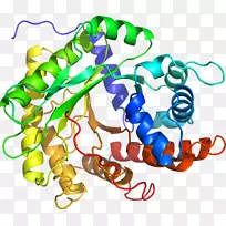 人体首饰有机体线剪贴画线-空若网 人体首饰有机体线剪贴画线-空若网
