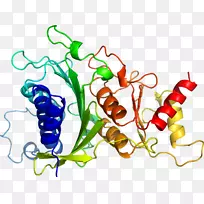 蔬菜有机体系列剪贴画-蔬菜-空若网 蔬菜有机体系列剪贴画-蔬菜-空若网