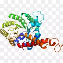 平面设计剪贴画.设计-空若网 平面设计剪贴画.设计-空若网