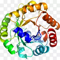 生物动物剪贴画-空若网 生物动物剪贴画-空若网