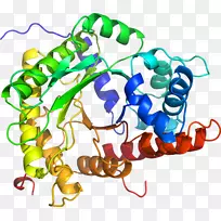 人体首饰有机体线剪贴画线-空若网 人体首饰有机体线剪贴画线-空若网