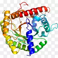 人体首饰有机体线剪贴画线-空若网 人体首饰有机体线剪贴画线-空若网