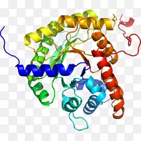 人体首饰有机体线剪贴画线-空若网 人体首饰有机体线剪贴画线-空若网