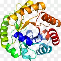 ���������л����߼�������-������