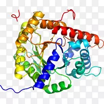 人体首饰有机体线剪贴画线-空若网 人体首饰有机体线剪贴画线-空若网