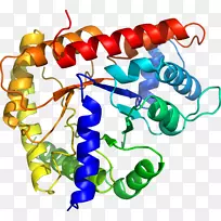 人体首饰有机体线剪贴画线-空若网 人体首饰有机体线剪贴画线-空若网