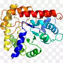 人体首饰有机体线剪贴画线-空若网 人体首饰有机体线剪贴画线-空若网