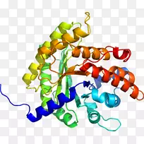 人体首饰有机体线剪贴画线-空若网 人体首饰有机体线剪贴画线-空若网