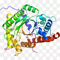 人体首饰有机体线剪贴画线-空若网 人体首饰有机体线剪贴画线-空若网
