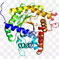 人体首饰有机体线剪贴画线-空若网 人体首饰有机体线剪贴画线-空若网