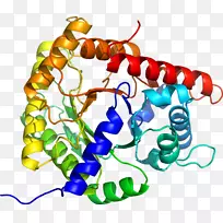 人体珠宝有机体剪贴画.珠宝-空若网 人体珠宝有机体剪贴画.珠宝-空若网