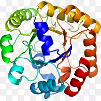 ���������л����߼�������-������