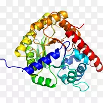 人体珠宝有机体剪贴画.珠宝-空若网 人体珠宝有机体剪贴画.珠宝-空若网