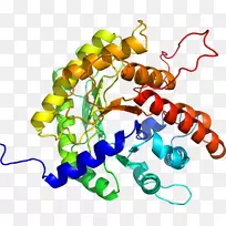 人体首饰有机体线剪贴画线-空若网 人体首饰有机体线剪贴画线-空若网