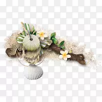 ��������-��-������