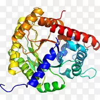 人体珠宝有机体剪贴画.珠宝-空若网 人体珠宝有机体剪贴画.珠宝-空若网