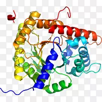 线点生物剪贴画线-空若网 线点生物剪贴画线-空若网