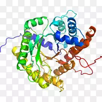 艺术身体珠宝有机体线剪贴画线-空若网 艺术身体珠宝有机体线剪贴画线-空若网