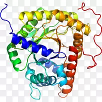 艺术身体珠宝有机体剪贴艺术珠宝首饰-空若网 艺术身体珠宝有机体剪贴艺术珠宝首饰-空若网