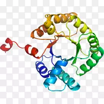 人体行为人体珠宝剪贴画珠宝首饰-空若网 人体行为人体珠宝剪贴画珠宝首饰-空若网