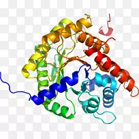 人体珠宝有机体剪贴画.珠宝-空若网 人体珠宝有机体剪贴画.珠宝-空若网