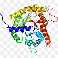 人体首饰有机体线剪贴画线-空若网 人体首饰有机体线剪贴画线-空若网