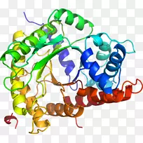 ���������л����߼�������-������