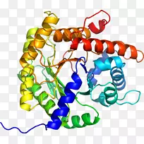 人体首饰有机体线剪贴画线-空若网 人体首饰有机体线剪贴画线-空若网
