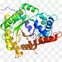 艺术身体珠宝有机体线剪贴画线-空若网 艺术身体珠宝有机体线剪贴画线-空若网