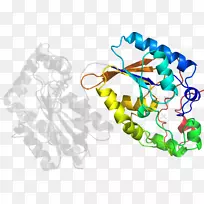 Ê÷Ïß¼ôÌù»-Ê÷-¿ÕÈôÍø Ê÷Ïß¼ôÌù»-Ê÷-¿ÕÈôÍø