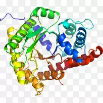 人体珠宝有机体剪贴画.珠宝-空若网 人体珠宝有机体剪贴画.珠宝-空若网