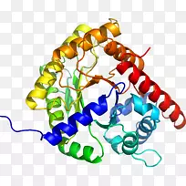 人体首饰有机体线剪贴画线-空若网 人体首饰有机体线剪贴画线-空若网