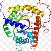 珠体珠宝有机体剪贴画.珠宝-空若网 珠体珠宝有机体剪贴画.珠宝-空若网