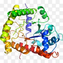 线点生物剪贴画线-空若网 线点生物剪贴画线-空若网