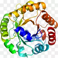 人体首饰有机体线剪贴画线-空若网 人体首饰有机体线剪贴画线-空若网