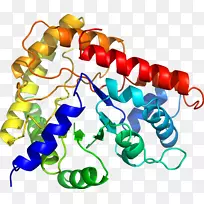 人体首饰有机体线剪贴画线-空若网 人体首饰有机体线剪贴画线-空若网