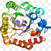 �����߶����������-������